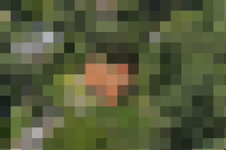 Wildernislaan 61 Apeldoorn thumbnail 55