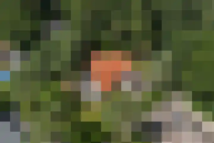 Wildernislaan 61 Apeldoorn thumbnail 56