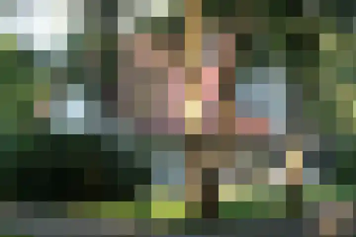 Wildernislaan 61 Apeldoorn thumbnail 58