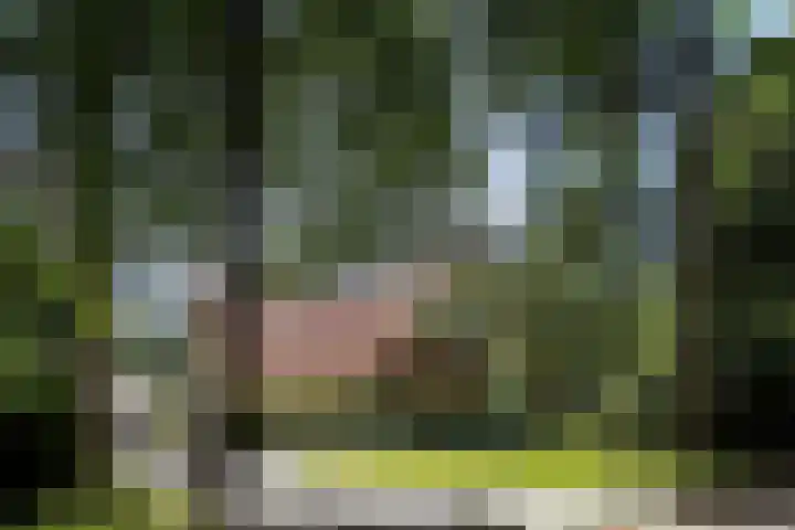 Wildernislaan 61 Apeldoorn thumbnail 64