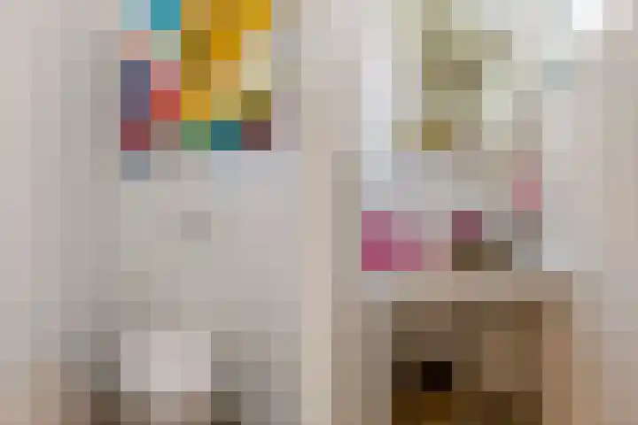 Wildernislaan 61 Apeldoorn thumbnail 8