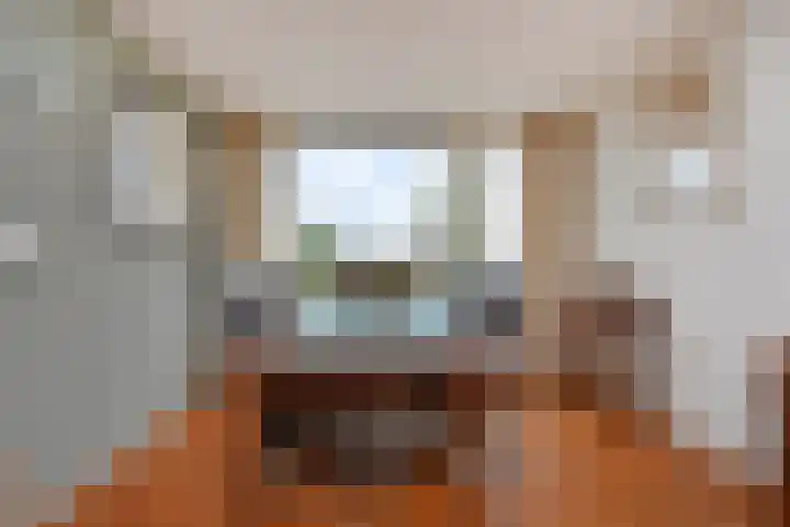 Wildersekade 27 Bergschenhoek thumbnail 11