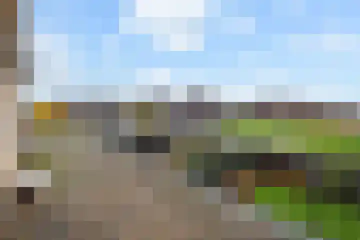 Wildersekade 27 Bergschenhoek thumbnail 29