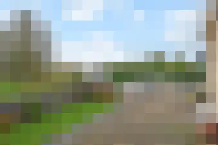 Wildersekade 27 Bergschenhoek thumbnail 30