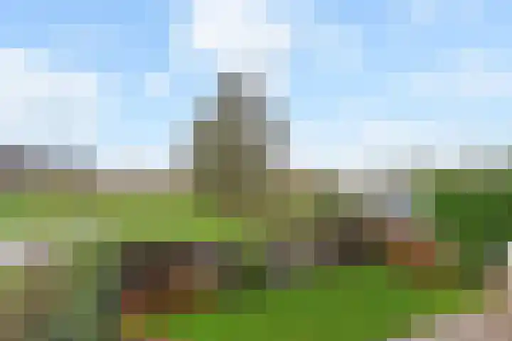 Wildersekade 27 Bergschenhoek thumbnail 31