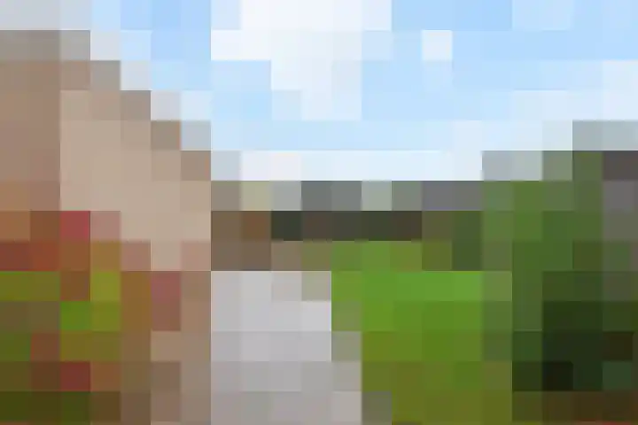 Wildersekade 27 Bergschenhoek thumbnail 43
