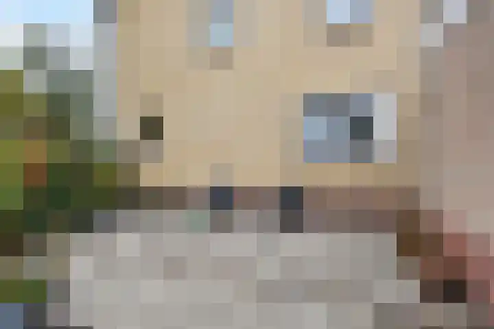 Wildersekade 27 Bergschenhoek thumbnail 45