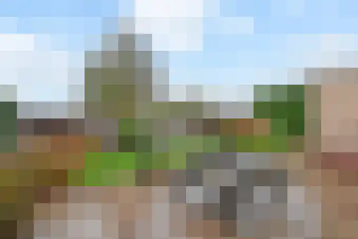 Wildersekade 27 Bergschenhoek thumbnail 47