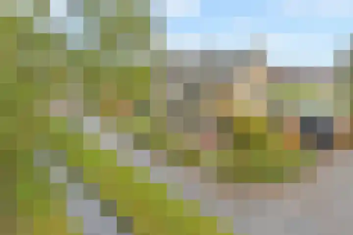 Wildersekade 27 Bergschenhoek thumbnail 49