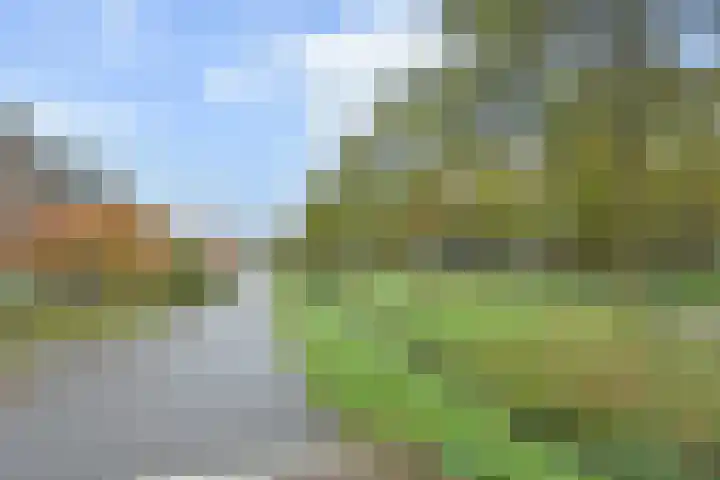 Wildersekade 27 Bergschenhoek thumbnail 50