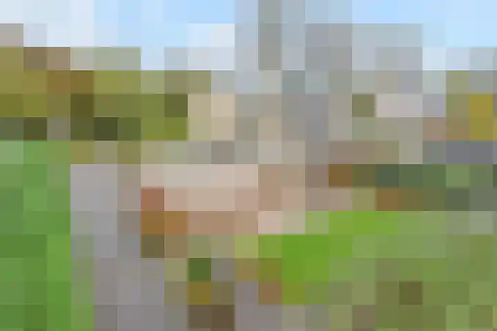 Wildersekade 27 Bergschenhoek thumbnail 51