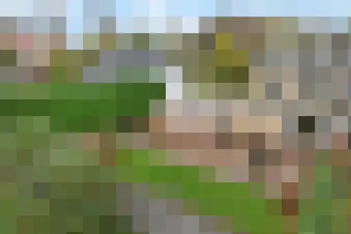 Wildersekade 27 Bergschenhoek thumbnail 52