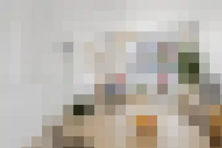 Wildertkade 19 Ouderkerk aan den IJssel thumbnail 4