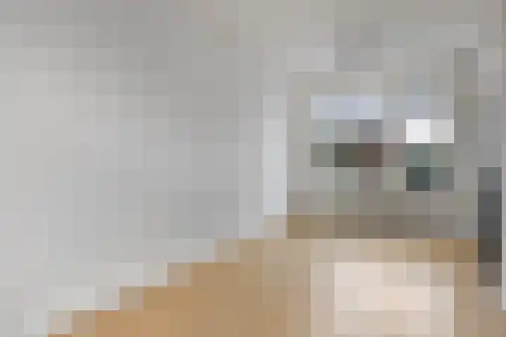 Wildertkade 19 Ouderkerk aan den IJssel thumbnail 5