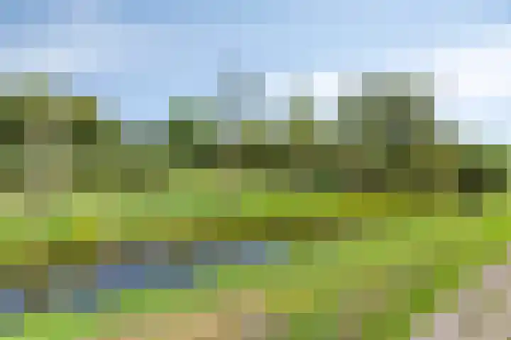 Wildertkade 20 Ouderkerk aan den IJssel thumbnail 34