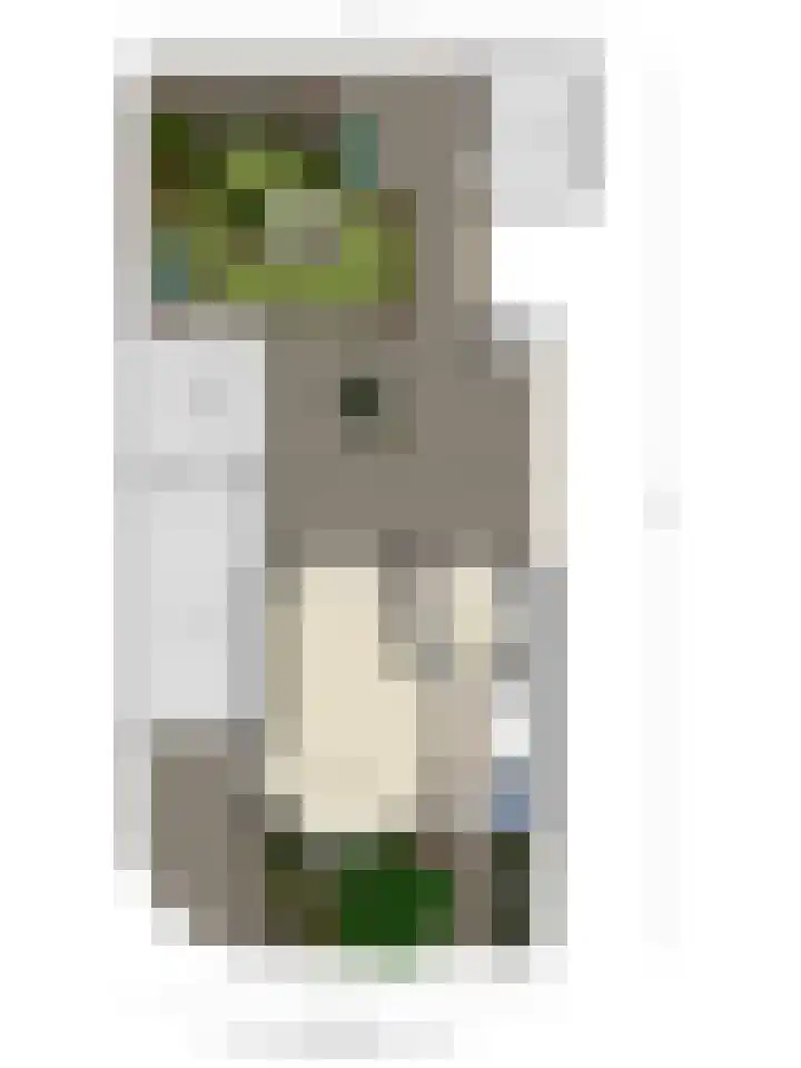 Wildertkade 20 Ouderkerk aan den IJssel thumbnail 36