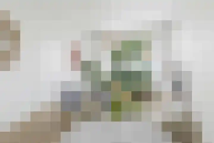 Wildertkade 20 Ouderkerk aan den IJssel thumbnail 4