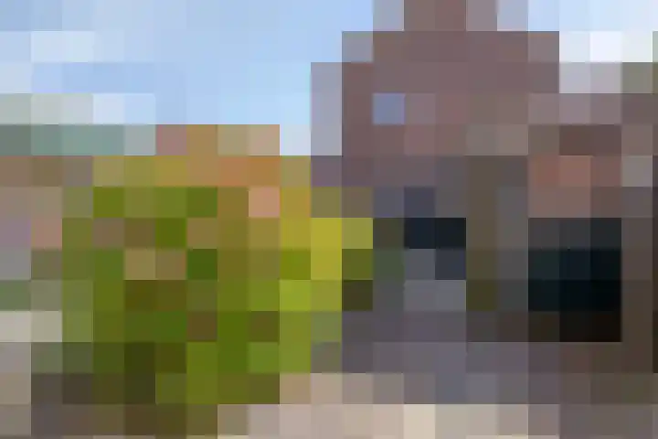 Wildertkade 20 Ouderkerk aan den IJssel thumbnail 5