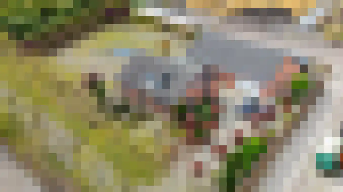 Wildertstraat 4 b Zundert thumbnail 5