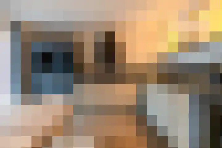 Wildervanck 22 Sappemeer thumbnail 12
