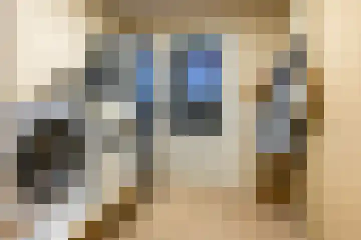 Wildervanck 22 Sappemeer thumbnail 26