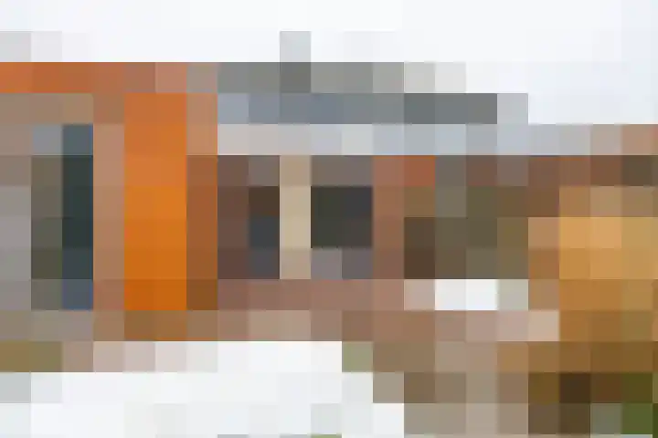 Wildervanck 22 Sappemeer thumbnail 38