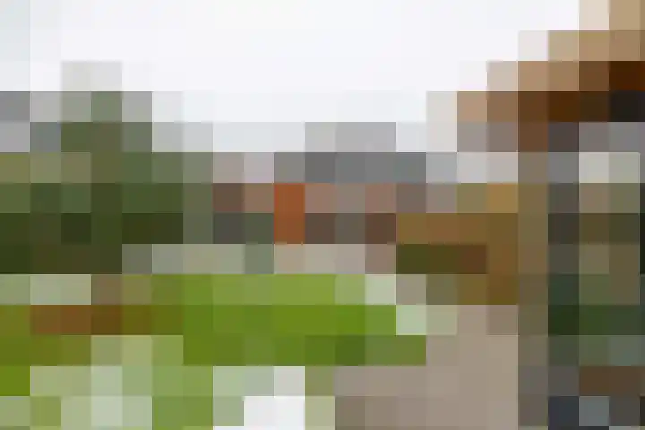 Wildervanck 22 Sappemeer thumbnail 40