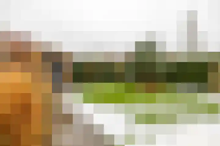 Wildervanck 22 Sappemeer thumbnail 41