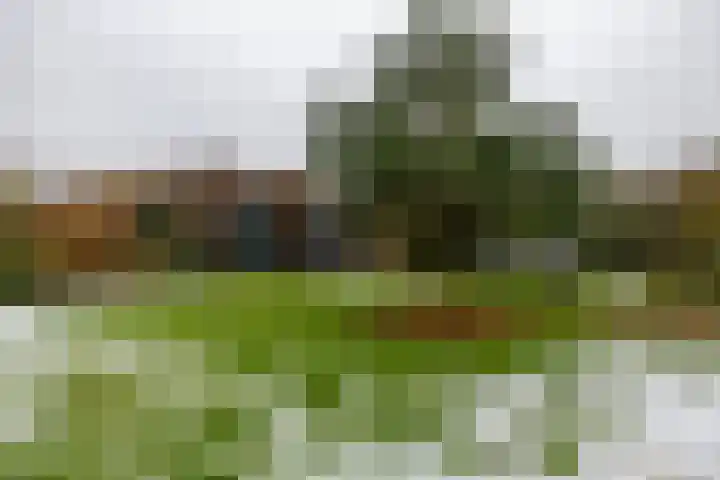 Wildervanck 22 Sappemeer thumbnail 42
