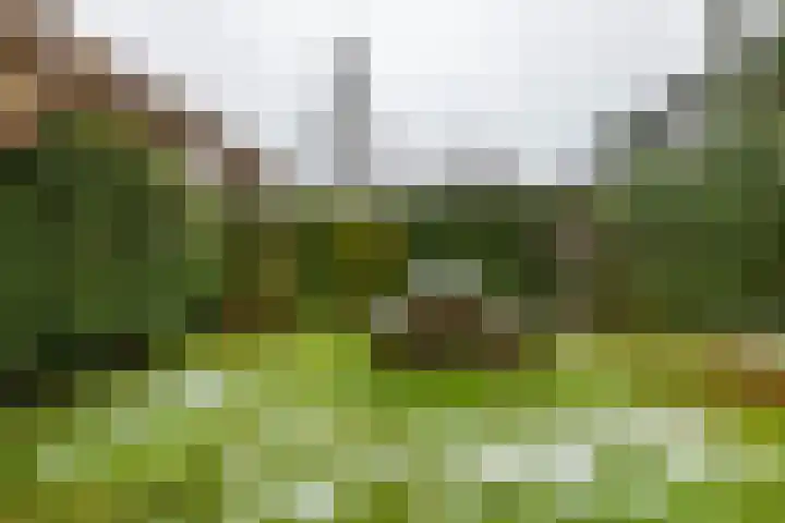 Wildervanck 22 Sappemeer thumbnail 43