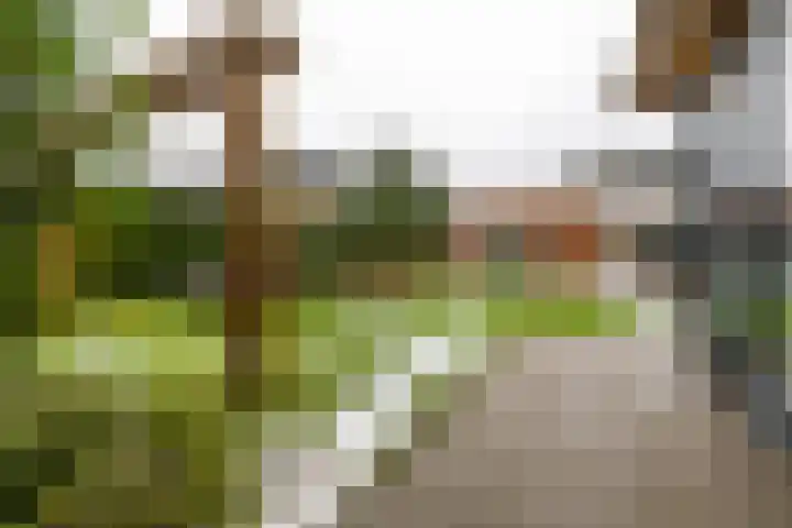 Wildervanck 22 Sappemeer thumbnail 44