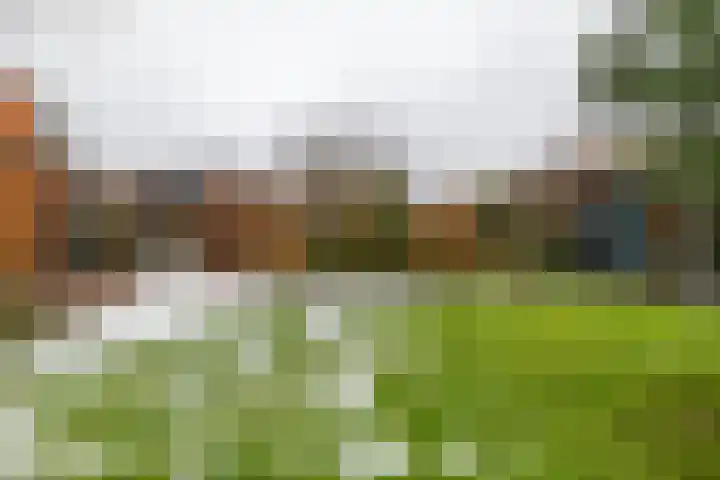 Wildervanck 22 Sappemeer thumbnail 45