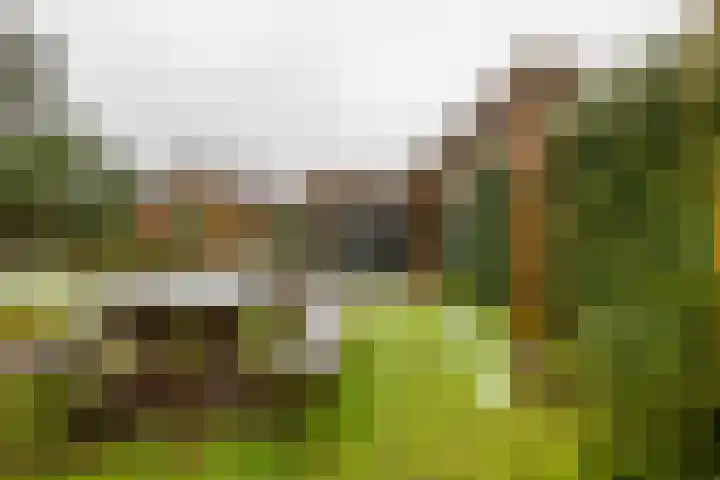 Wildervanck 22 Sappemeer thumbnail 46