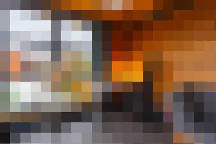 Wildervanck 22 Sappemeer thumbnail 47