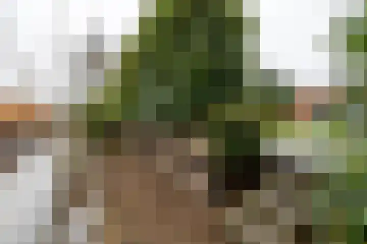 Wildervanck 22 Sappemeer thumbnail 51