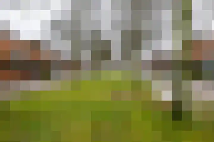 Wildervanck 22 Sappemeer thumbnail 56