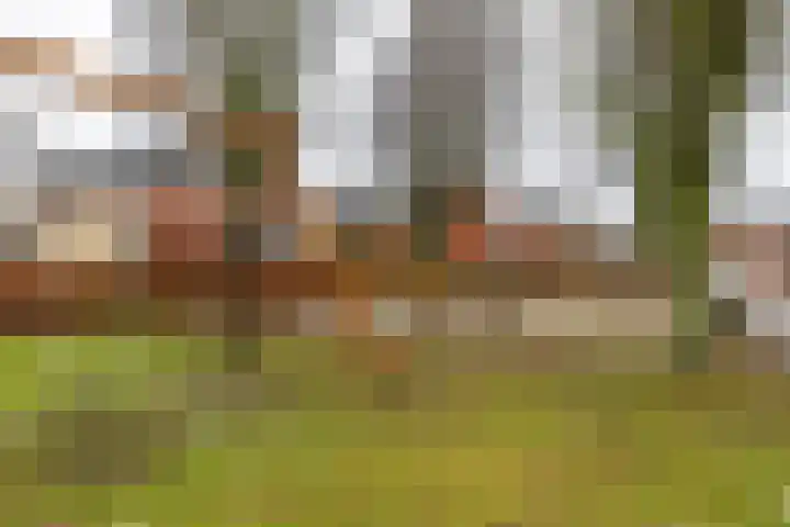 Wildervanck 22 Sappemeer thumbnail 57