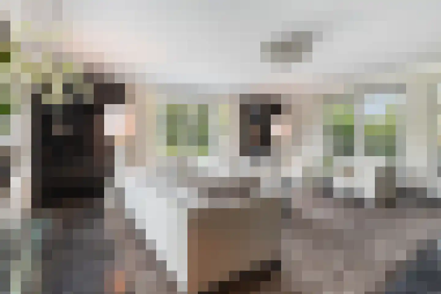Wildervangseweg 1 Strijen thumbnail 10