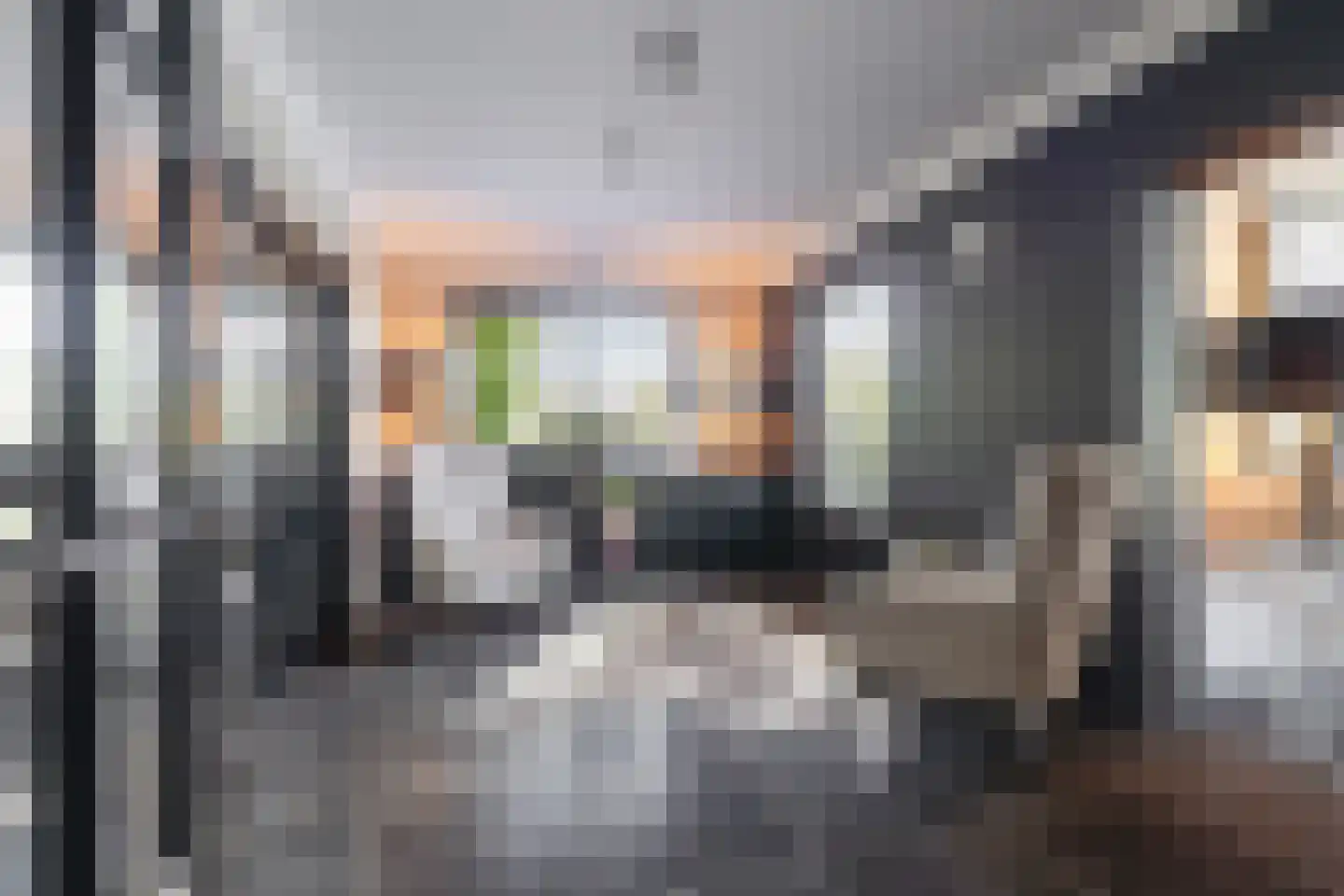 Wildervangseweg 1 Strijen thumbnail 11