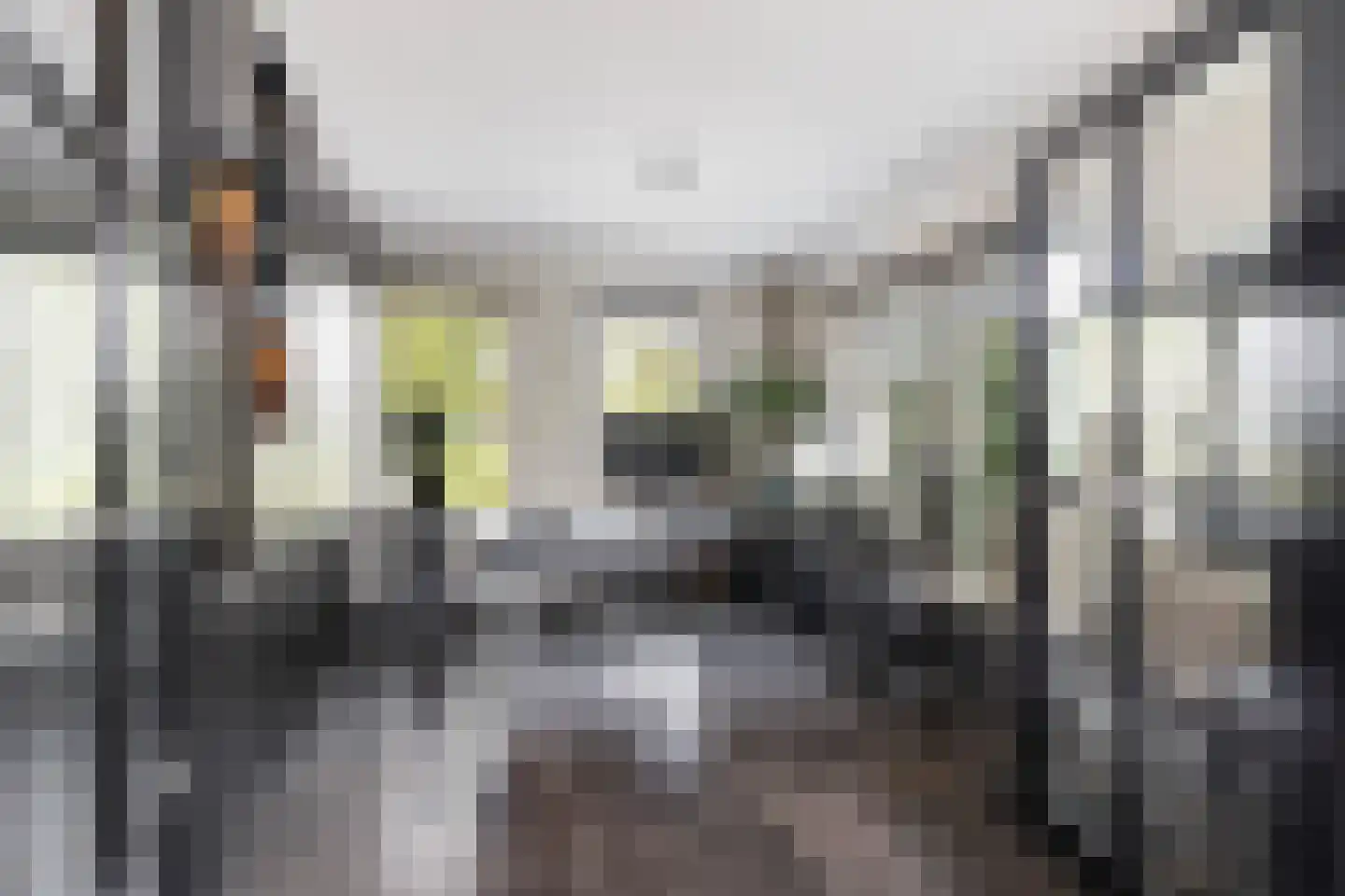 Wildervangseweg 1 Strijen thumbnail 12