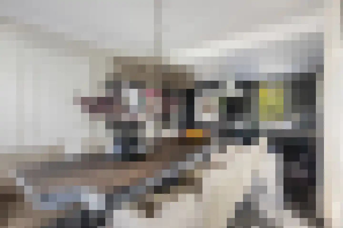 Wildervangseweg 1 Strijen thumbnail 17