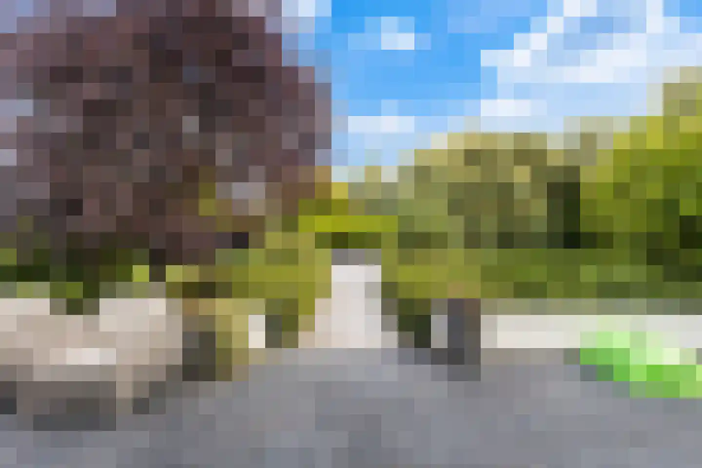 Wildervangseweg 1 Strijen thumbnail 20