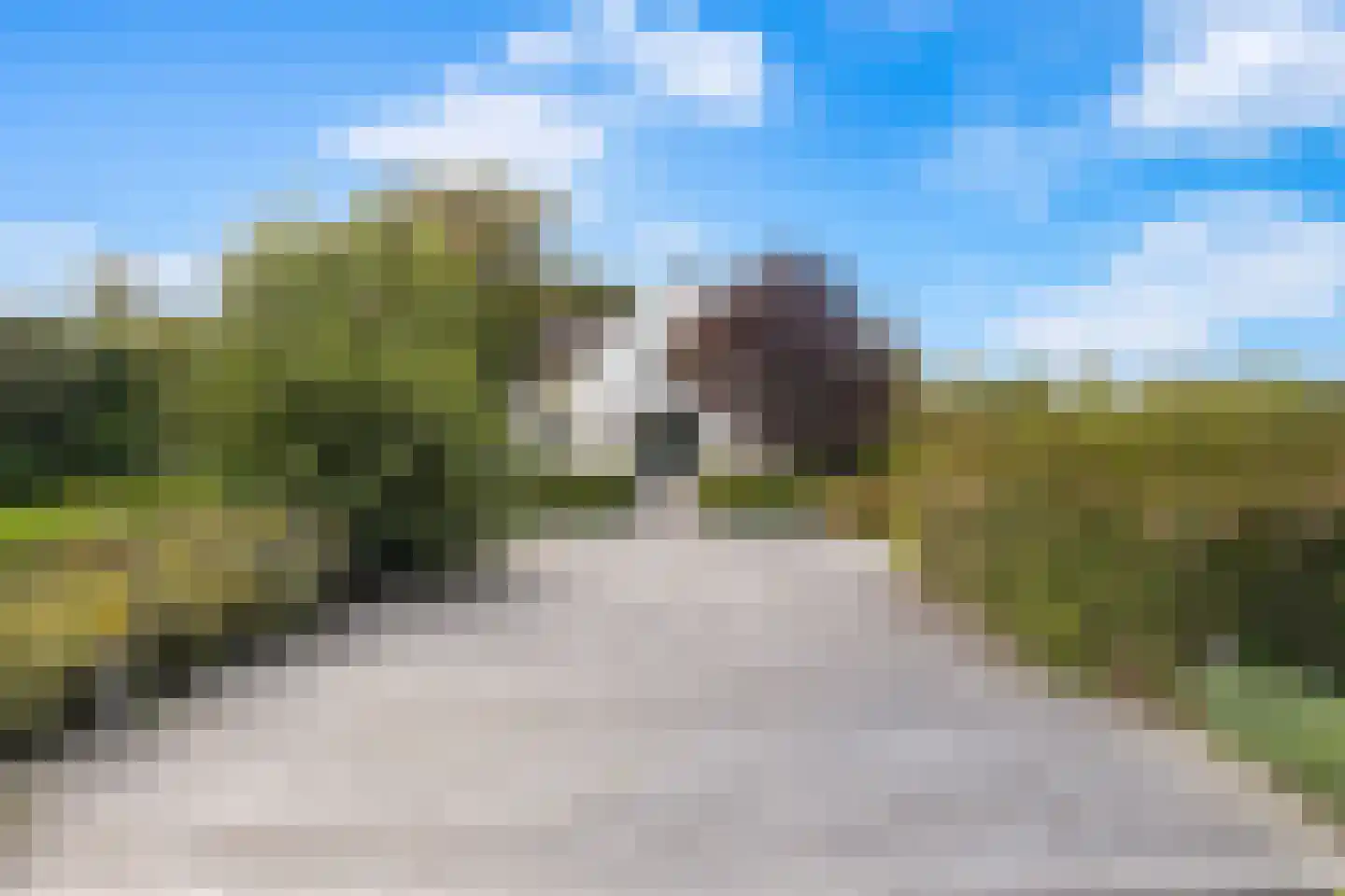 Wildervangseweg 1 Strijen thumbnail 22