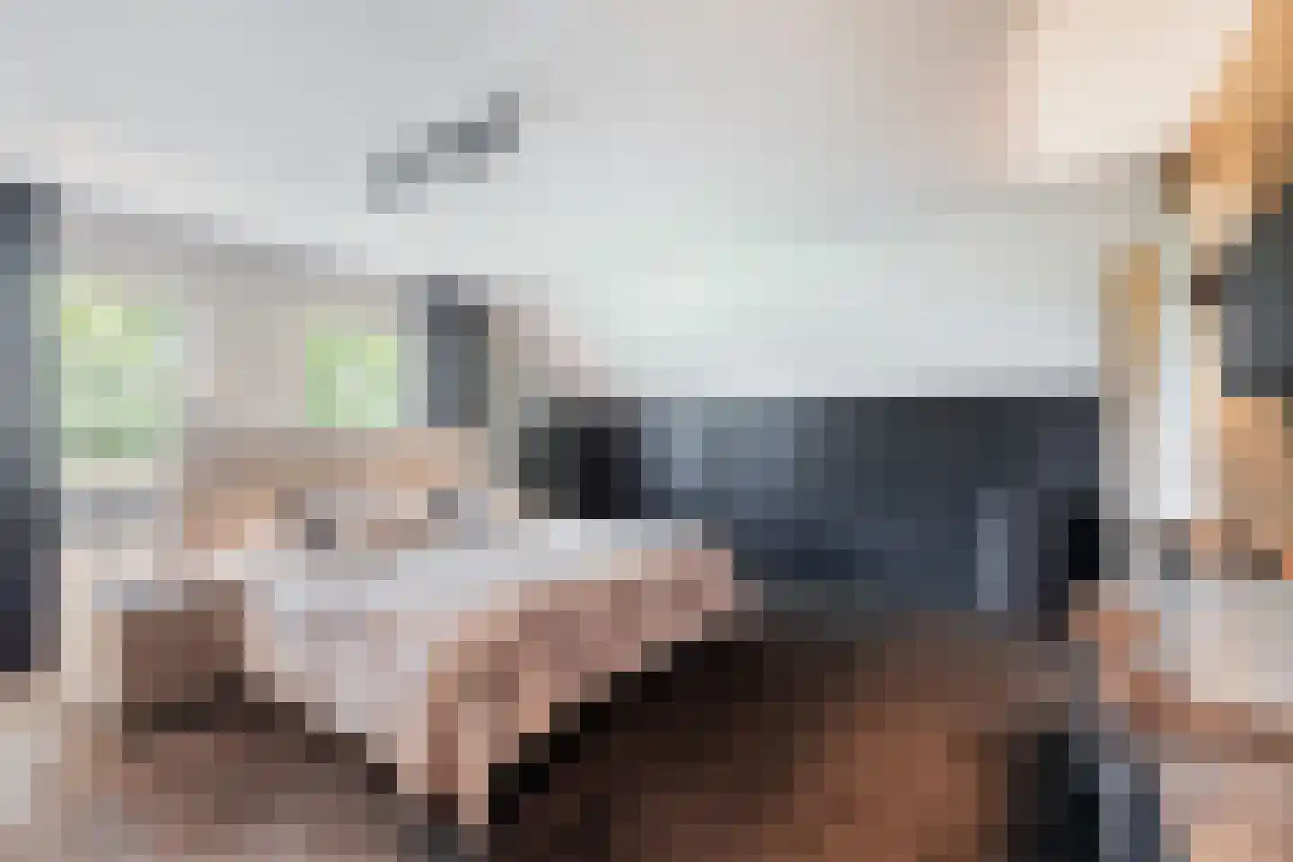 Wildervangseweg 1 Strijen thumbnail 24