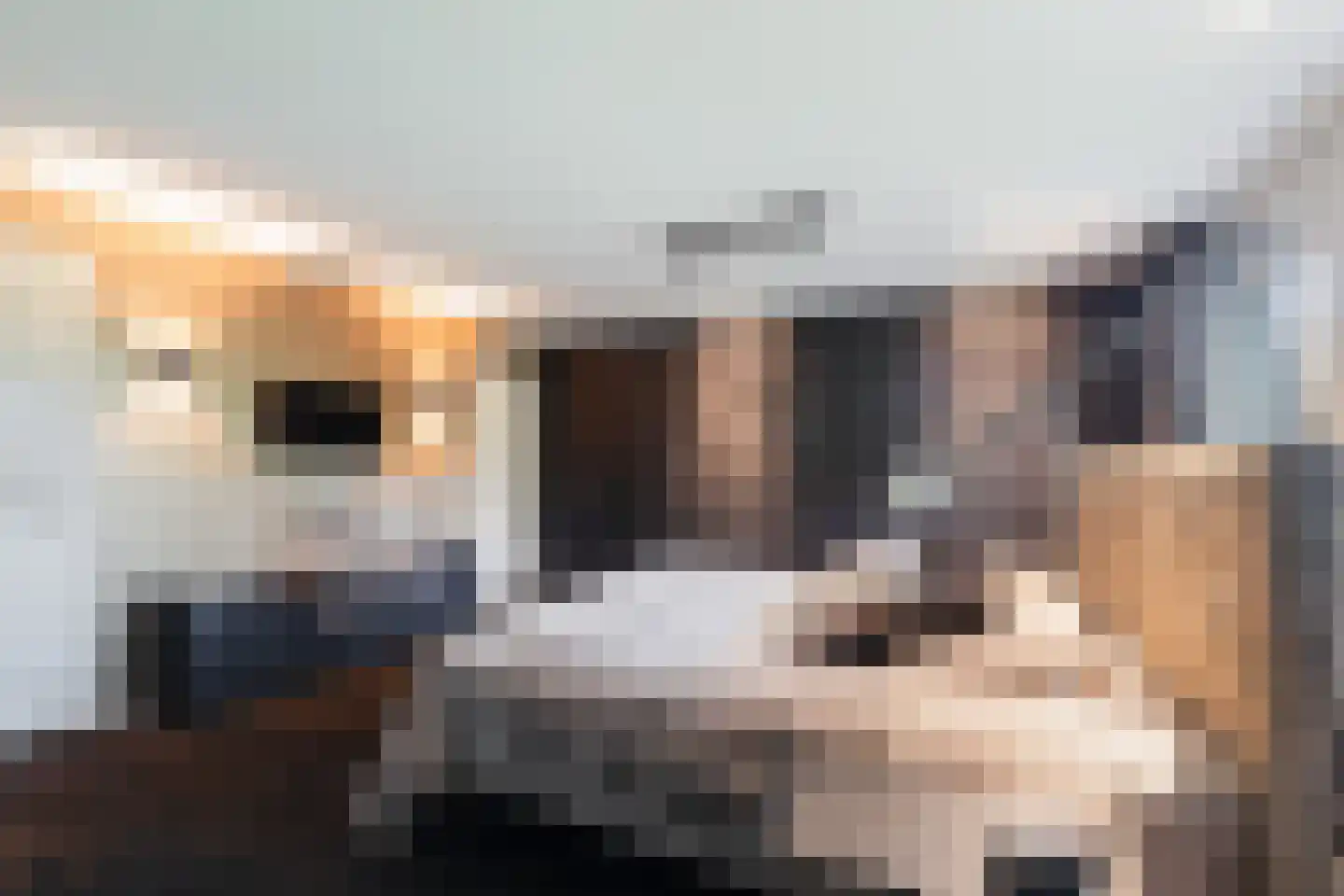 Wildervangseweg 1 Strijen thumbnail 25