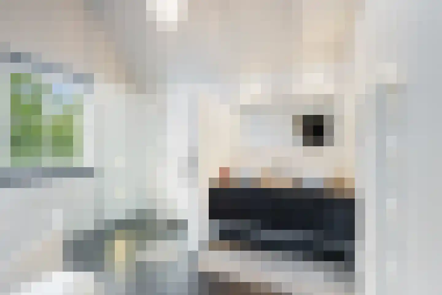 Wildervangseweg 1 Strijen thumbnail 26