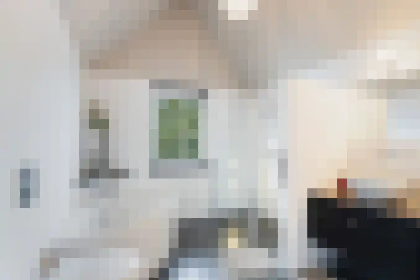 Wildervangseweg 1 Strijen thumbnail 27