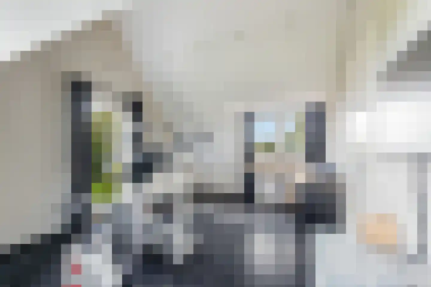 Wildervangseweg 1 Strijen thumbnail 31