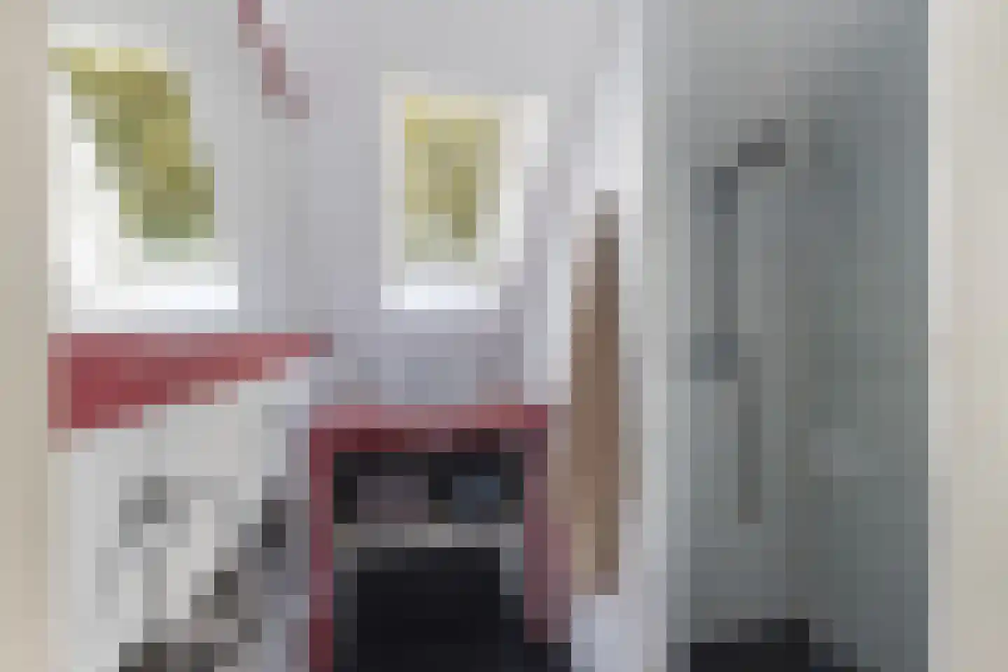 Wildervangseweg 1 Strijen thumbnail 33
