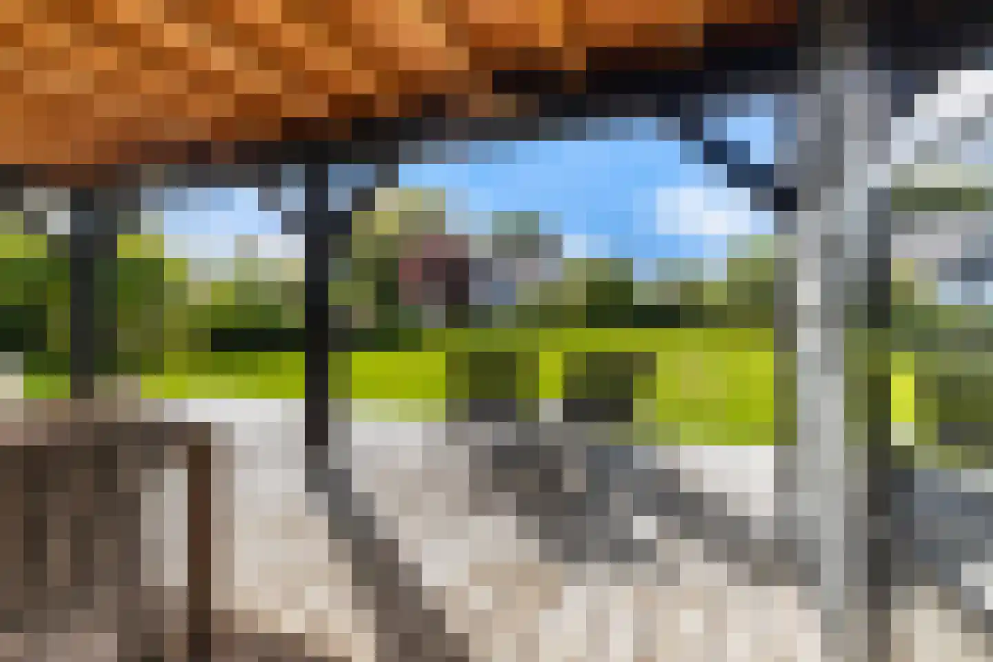 Wildervangseweg 1 Strijen thumbnail 36
